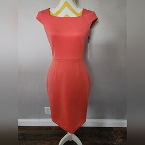 Size 4 NWT Calvin Klein coral dress